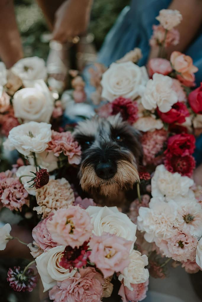 Friendly wedding celebrant in Wiltshire